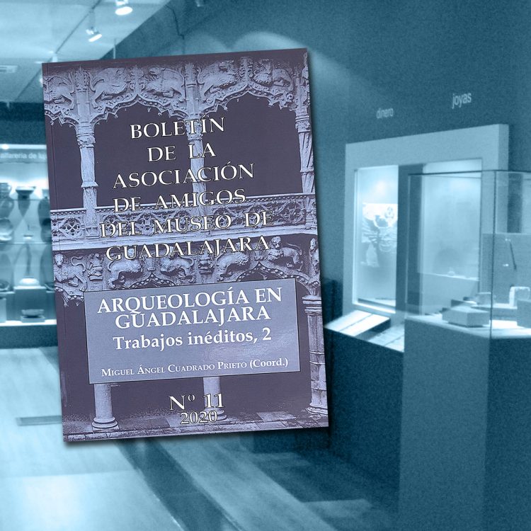 amigos del museo de guadalajara estudios de arqueologia