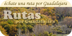 Rutas por Guadalajara